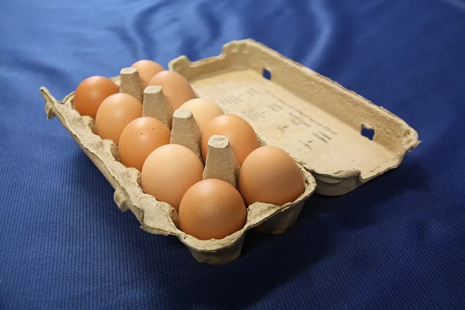 #1 Eggs (Whole) — Top 10 Best Protein Sources Ranked