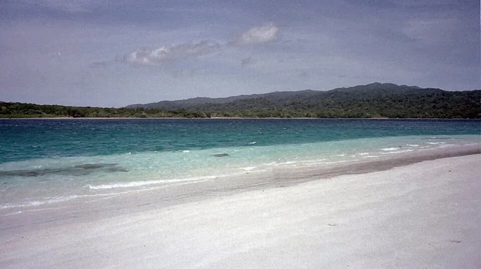 #4 Ujung Kulon National Park — Top 10 Indonesian National Parks in 2026