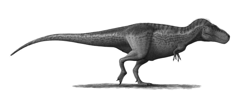 #1 Tyrannosaurus rex (1905) — Top 10 Best Dinosaur Discoveries