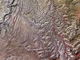 #1 Permian-Triassic Extinction (252 million years ago) — Top 10 Worst Extinction Events in History
