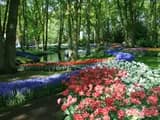 #1 Keukenhof Gardens — Top 10 Tulip & Flower Experiences in the Netherlands 2026