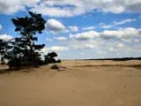 #1 De Hoge Veluwe National Park — Top 10 Must-Visit Nature Reserves in the Netherlands for 2026