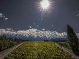 #3 Catena Zapata Adrianna Vineyard — Top 10 Argentine Wines and Wine Regions