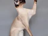 #3 Siamese — Top 10 Cat Breeds That Actually Like People