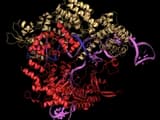 #2 Personalized Gene Editing (CRISPR 2.0) — Top 10 Breakthrough Technologies Changing the World in 2026
