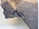 #3 The Tel Dan Stele — Top 10 Archaeological Discoveries That Support the Bible