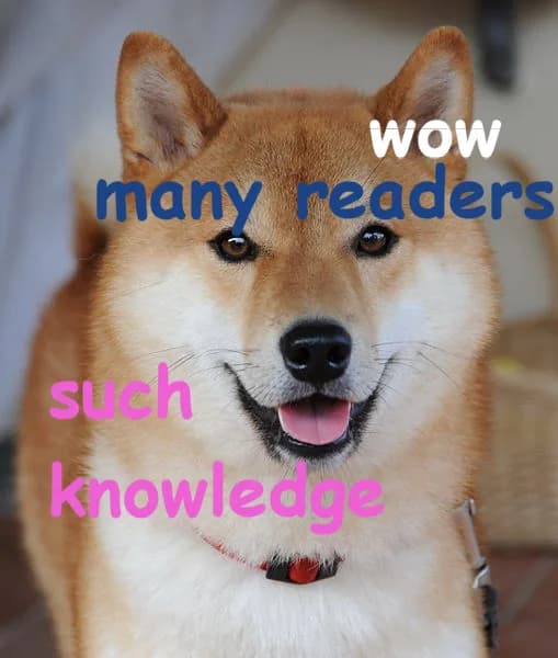 #1 Doge (2013) — Top 10 Memes That Defined the 2010S