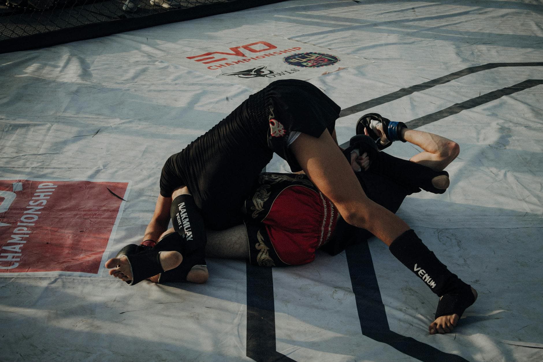 Top 10 Best MMA Fighters Ever