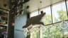 Top 10 Most Polarizing Interior Design Trends