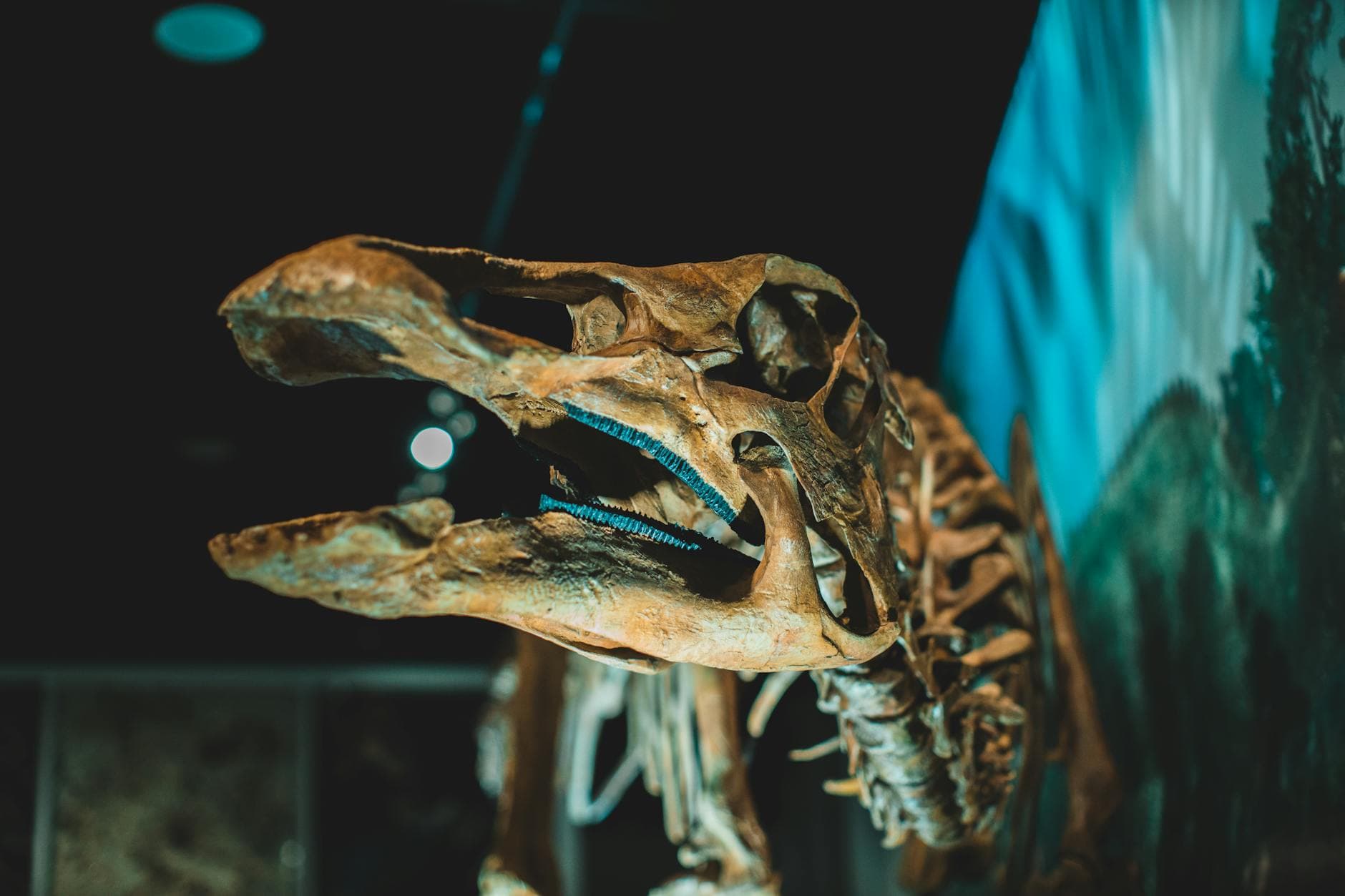 Top 10 Best Dinosaur Discoveries