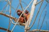 Top 10 Worst Deforestation Hotspots