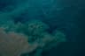 Top 10 Worst Ocean Pollution Sources