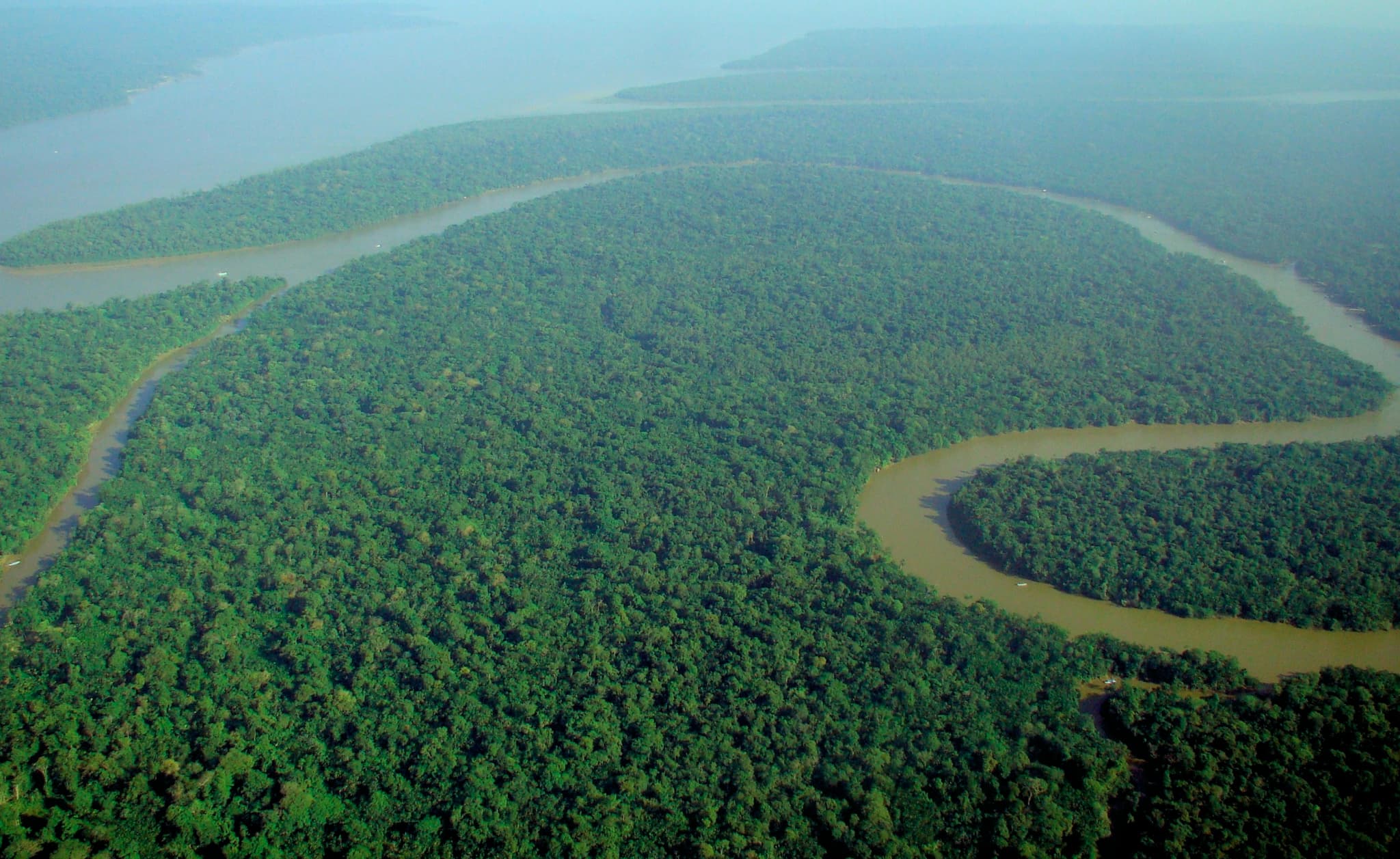 Top 10 Most Beautiful Forests in the World to Visit in 2026