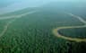 Top 10 Most Beautiful Forests in the World to Visit in 2026
