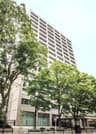 Top 10 Shopping Streets in Tokyo 2026