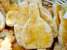 Top 10 Traditional Restaurants in Bavaria 2026