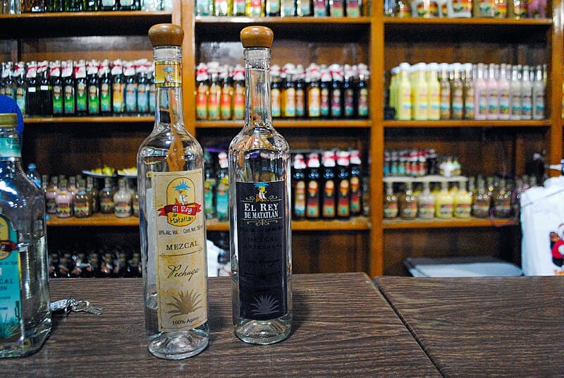 Top 10 Mezcal Brands Defining Mexico's Artisanal Agave Renaissance