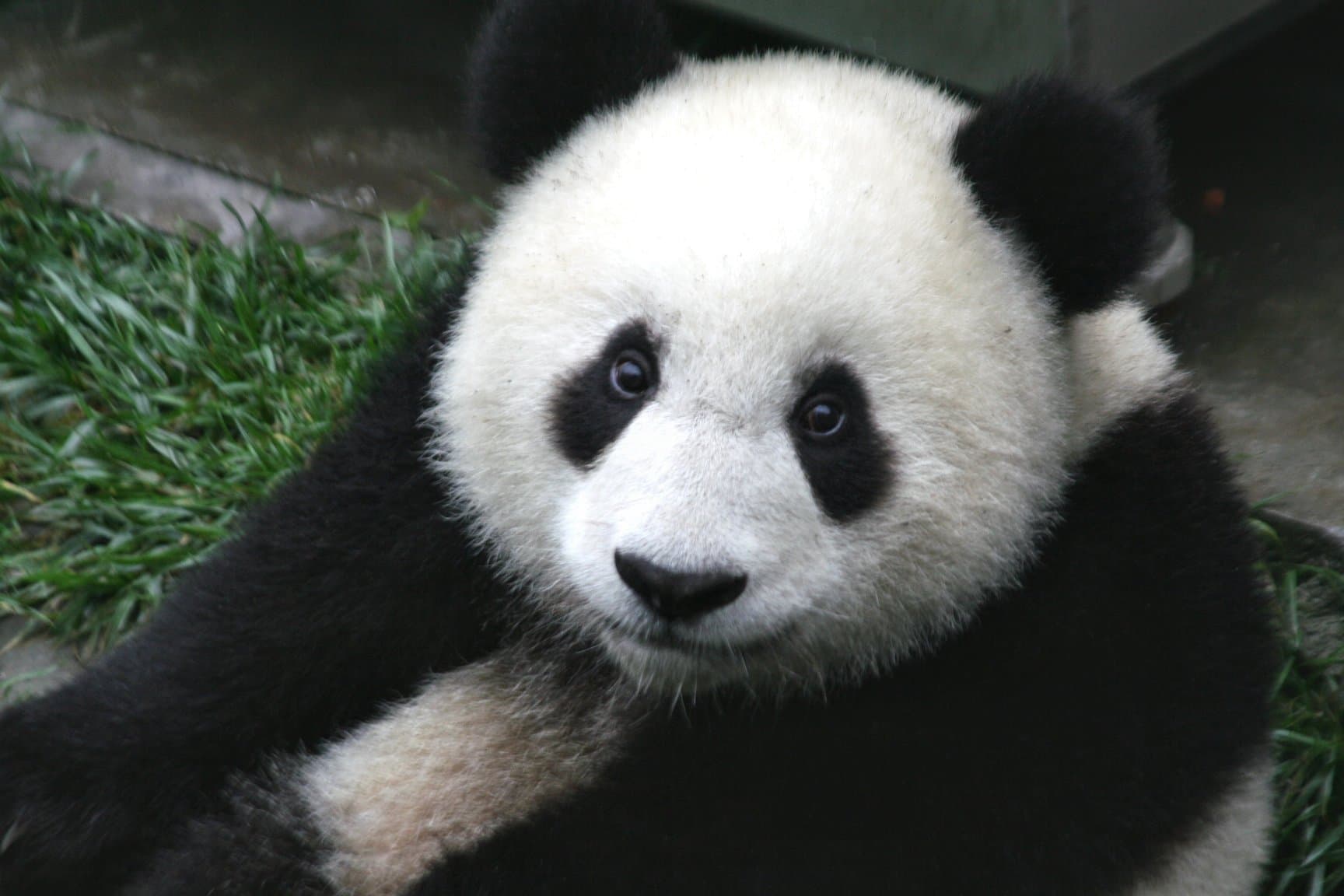Top 10 China National Parks & Nature Reserves