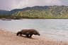 Top 10 Indonesian National Parks in 2026