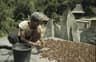 Top 10 Indonesian Coffees in 2026