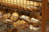 Top 10 Biggest Coffee Trends of 2025