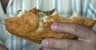 Top 10 South African Foods