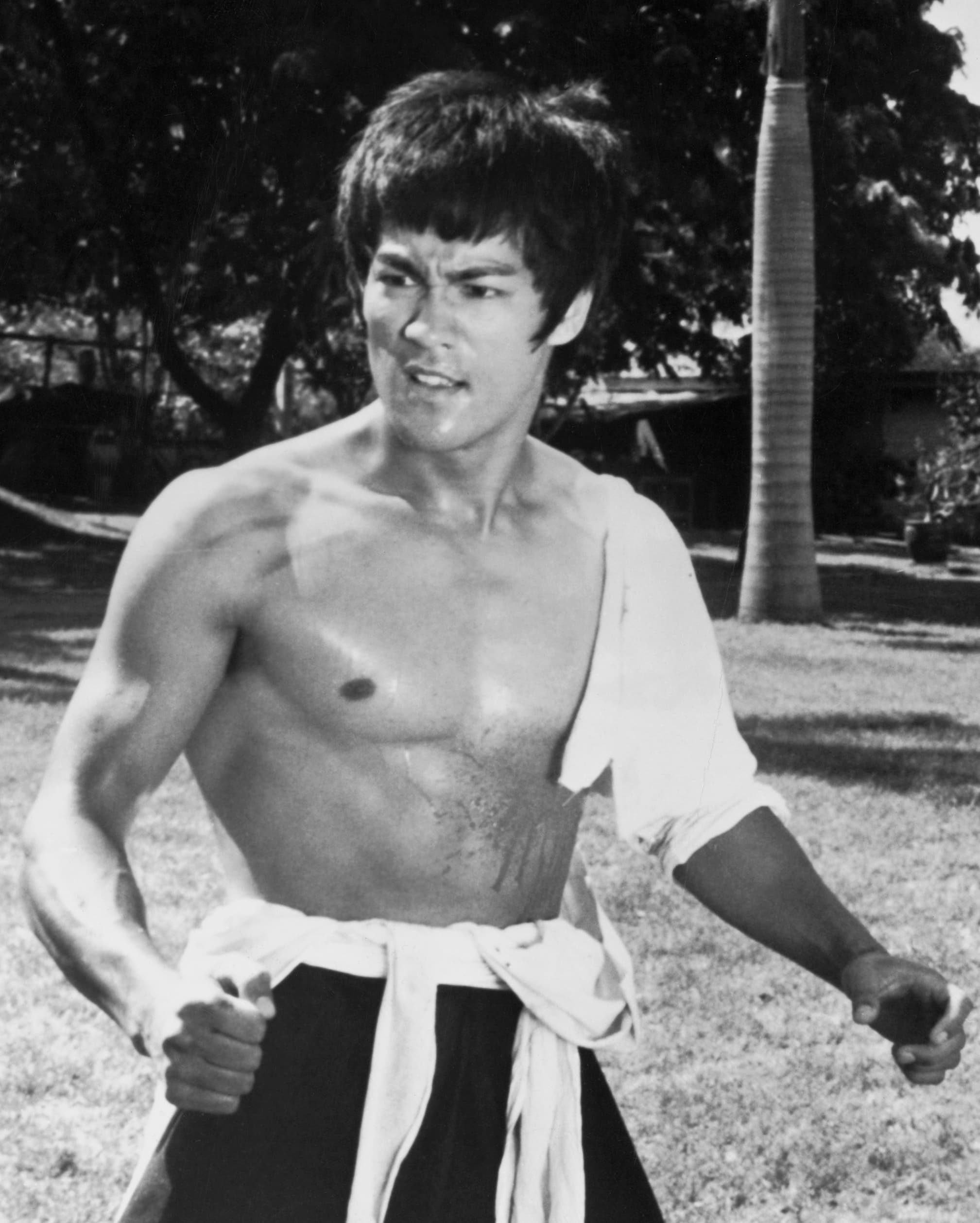 Top 10 Bruce Lee Films and Performances — Film Top 10 List