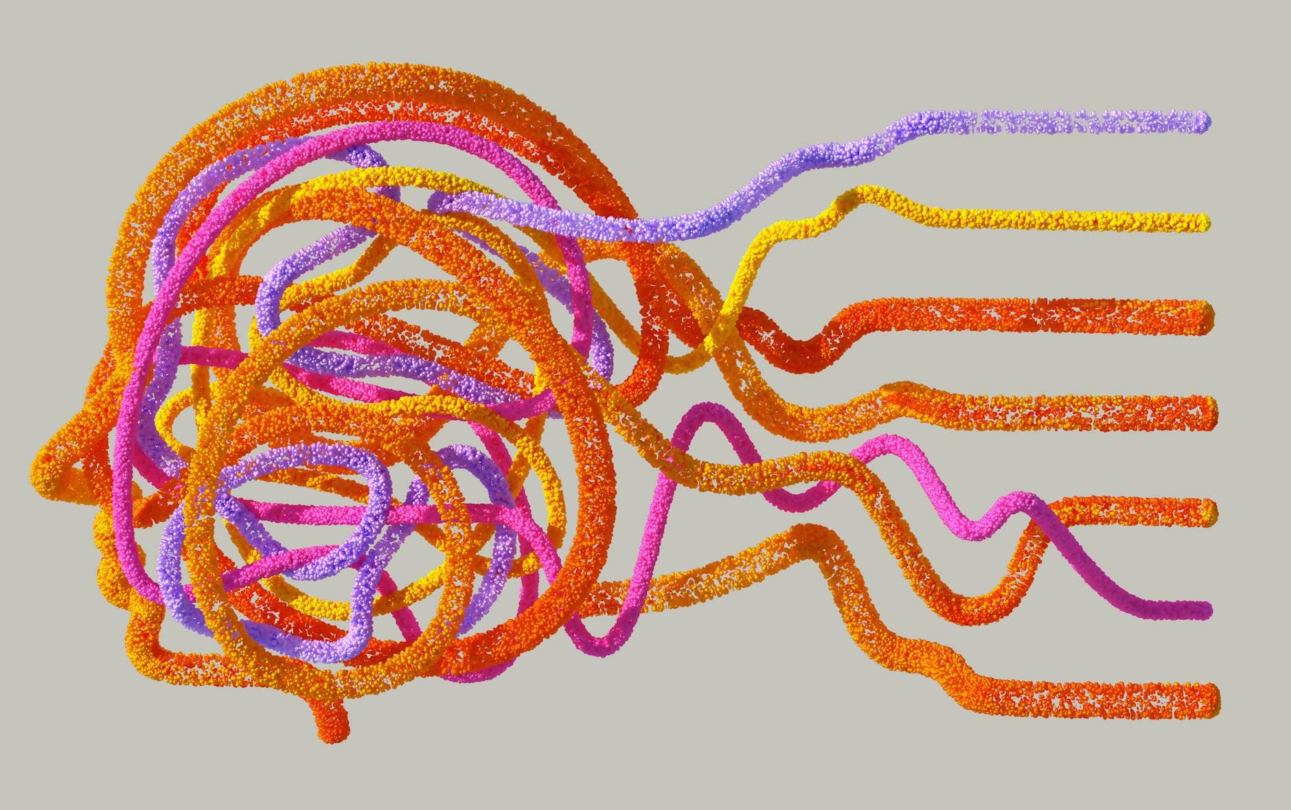 Biology Meets Computation: Papers Bridging Life and Data Science — Science Top 10 List