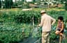 Top 10 Sustainable Swaps That Actually Save Money