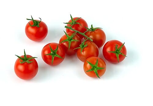 Top 10 Vegetables That Even Beginner Gardeners Can Grow