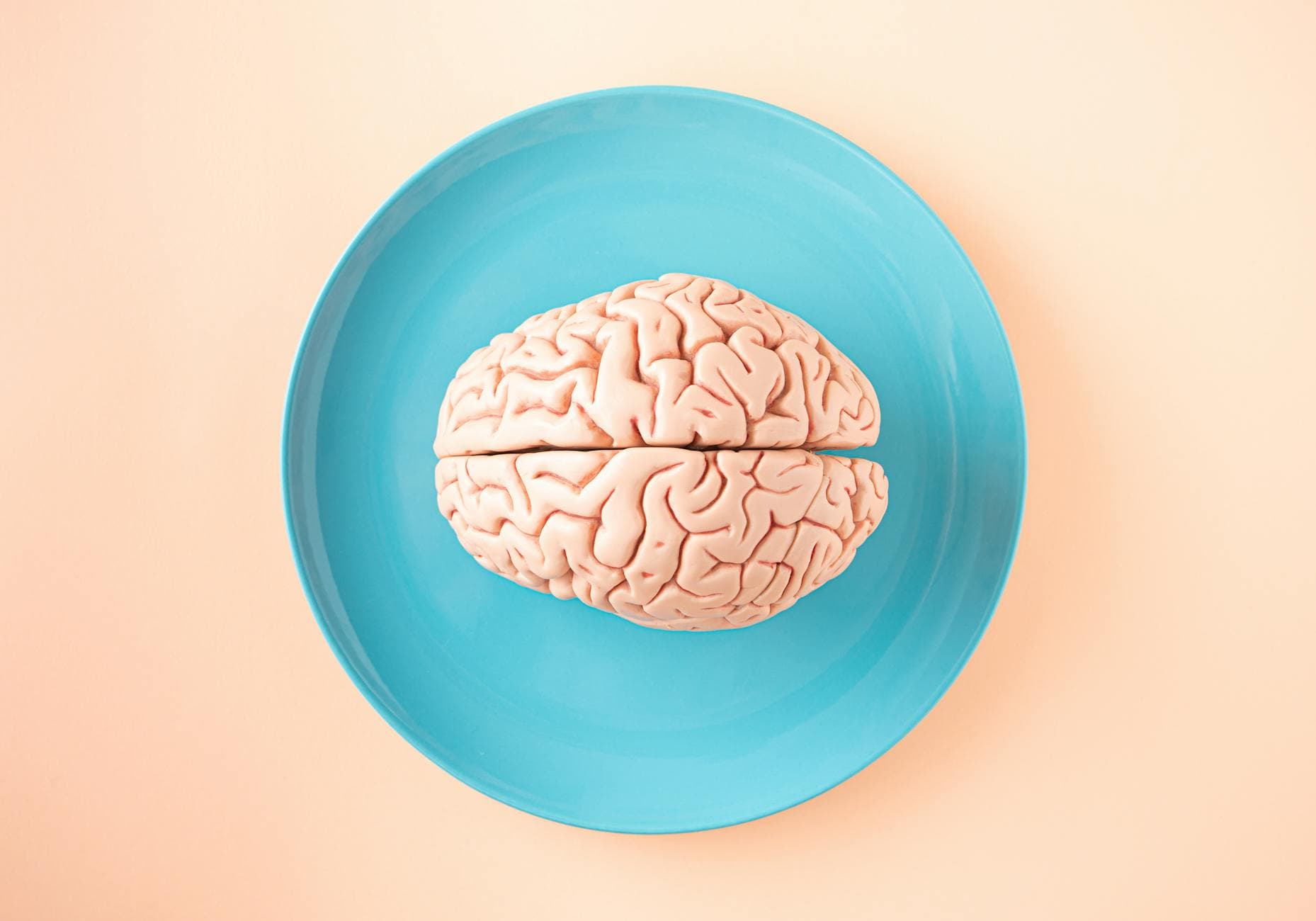 Top 10 Study Techniques Backed by Cognitive Science