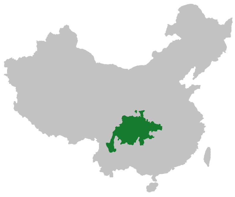 Top 12 Things to Do in Chengdu in 2026