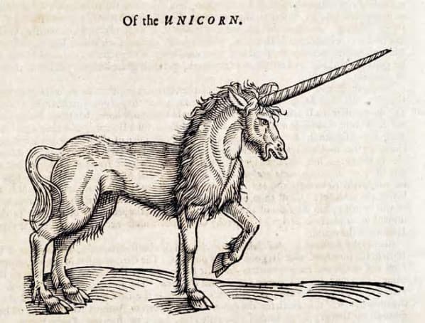 Top 10 Startups That Reached $1 Billion in Record Time — The Fastest Unicorns Ever — Business Top 10 List