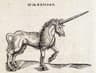 Top 10 Startups That Reached $1 Billion in Record Time — The Fastest Unicorns Ever