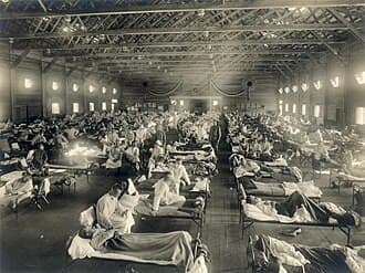 Top 10 Deadliest Pandemics in Human History — The Diseases That Reshaped Civilization