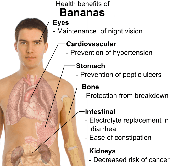 Top 10 Healthiest Foods in the World