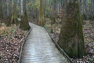 Top 10 Most Underrated National Parks in the USA