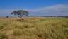 Top 10 Greatest Safari Destinations in Africa