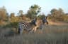 Top 10 Best Safari Lodges in South Africa