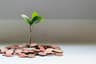 10 Verified Side Income Ideas for 2026 ($900–$15,000+/Month)