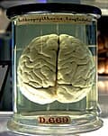 Top 10 Nervous System Regulation Techniques Dominating Wellness in 2026 — Health Top 10 List
