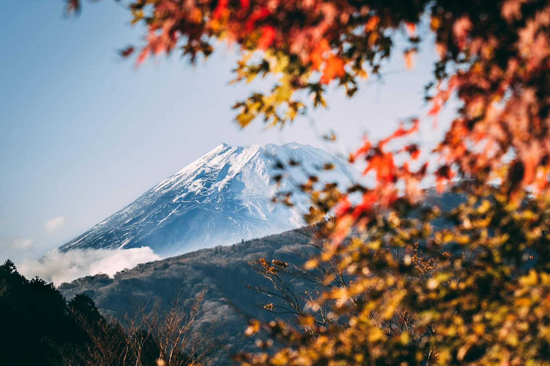 #1 Japan — Top 10 Best Solo Travel Destinations