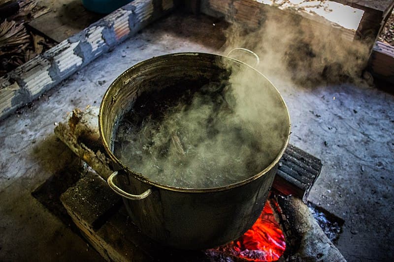 #1 Ayahuasca Ceremony Retreats (Costa Rica, Peru) — Top 10 Most Overrated Wellness Retreats of 2026 (And What the Evidence Actually Shows)