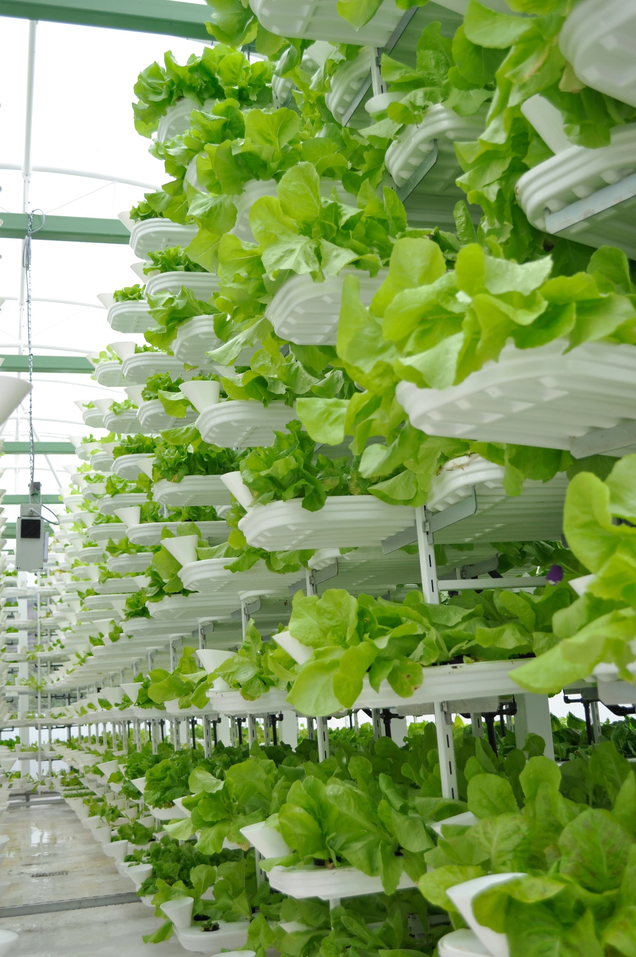 #4 Vertical Farming as a Service — Top 10 Best Startup Ideas for 2026