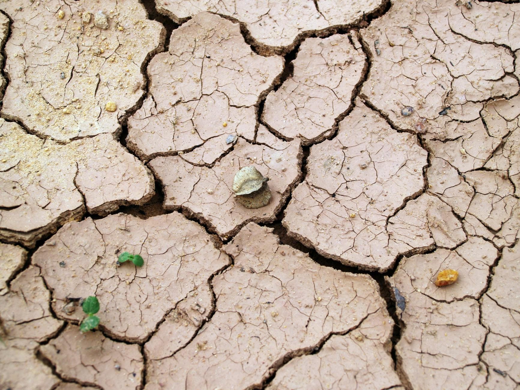 #10 Grounding / Earthing — Top 10 Most Overrated Wellness Trends