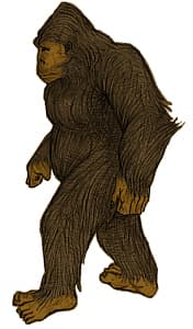 #4 Yeti — Top 10 Most Overhyped Lifestyle Brands