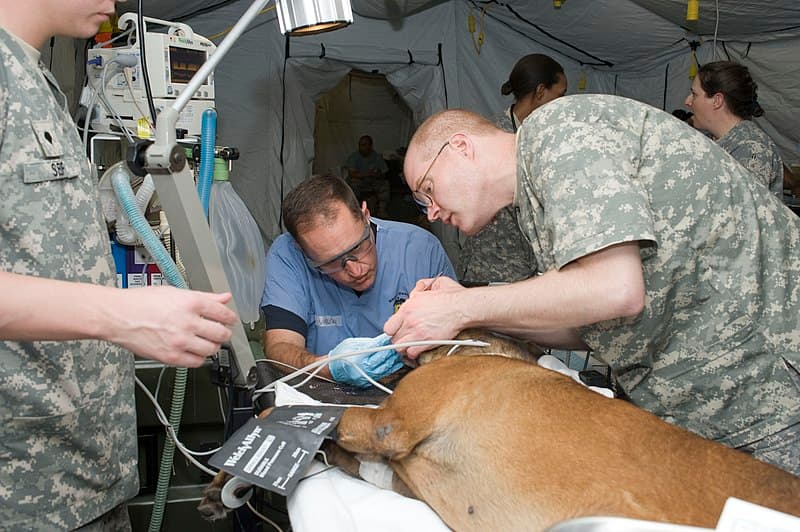 #2 Switzerland's Federal VET Diploma Program — Top 10 Best Vocational Training Programs 2026