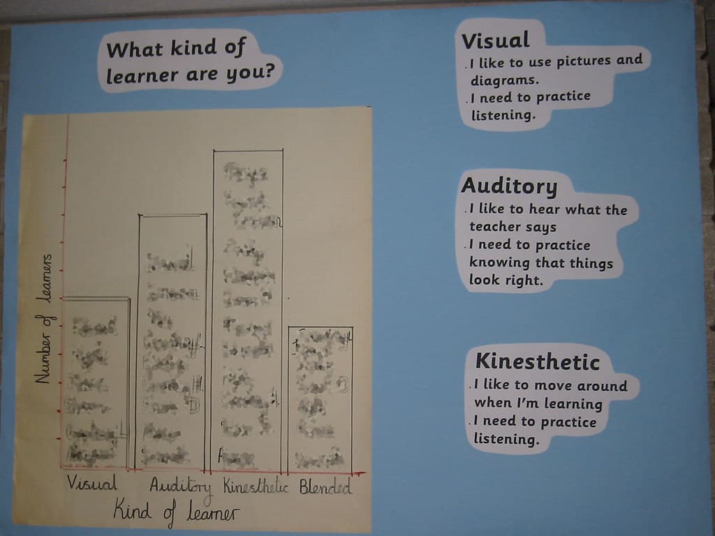 #1 Learning Styles (Visual, Auditory, Kinesthetic) — Top 10 Worst Education Myths 2026