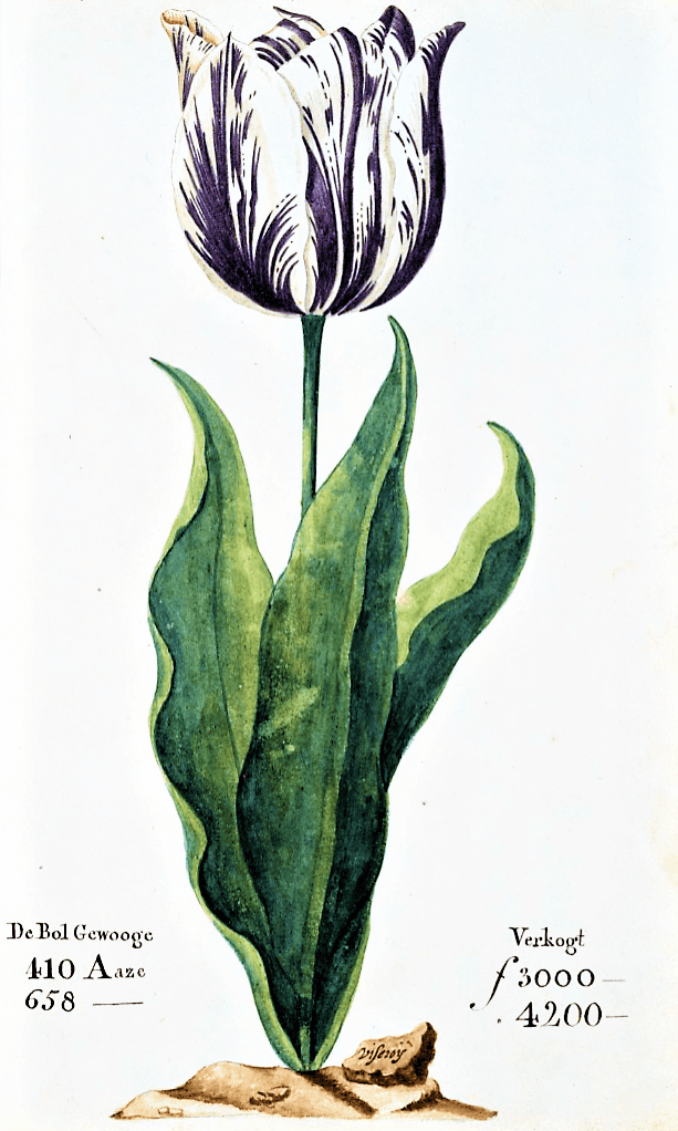 #9 Dutch Tulip Mania (1637) — Top 10 Worst Financial Crashes in History