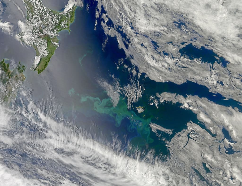 #4 Ocean Iron Fertilization — Top 10 Most Debated Climate Change Solutions